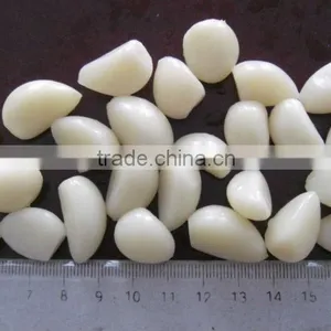 Salted Garlic in Big Drum thumbnail-1
