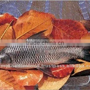High Quality Whole Fresh Water Fish thumbnail-1