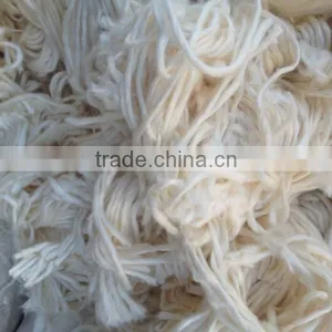 Roving Cotton thumbnail-1