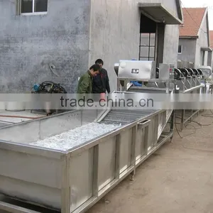 Hot Sale Vegetable Bubble Washing Machine/bean Sprout Washer Machine/bean Washing Machine thumbnail-5