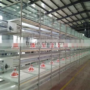 New Design Broiler Cage System thumbnail-1