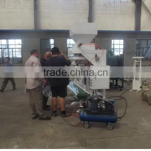Grain Bagging System/Cereals Packing Machine thumbnail-4