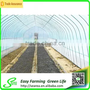 High Quality Agricultural Greenhouse in Plastic Film thumbnail-2