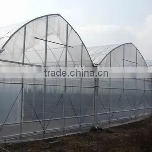 Cheap Flat Roof Greenhouse thumbnail-5