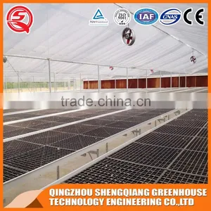 Aluminum Greenhouse Plastic/greenhouse Steel Frame for Vegetables and Flowers thumbnail-2