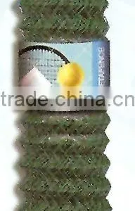 Welded Wire Mesh(factory) thumbnail-1