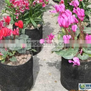 Degradable Pots for Three Nonwoven Plant Grow Bags (1 Gal to 1200 Gal) thumbnail-2