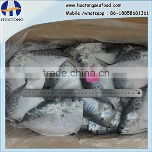 Frozen Moonfish 200-300g/pc BQF 7.5kgs/ctn thumbnail-1