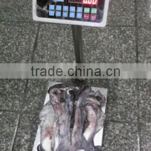 Frozen Bait of Giant Squid Tentacle thumbnail-3