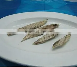 Frozen Bonito Fish Flake thumbnail-1