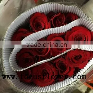 Natural Long Stem Flowers Fresh Cut Flowers Ecuador Flower Wholesaler Carola in Good Service thumbnail-5