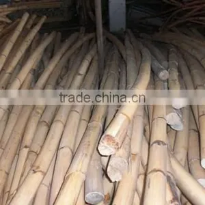 Manau Cane 30MM thumbnail-1
