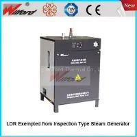 LDR Exempted From Inspection Type Steam Generator thumbnail-1