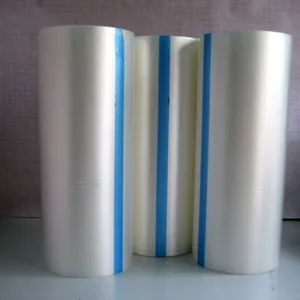 Jiangsu Shuangxing Color Plastic New Materials Co., Ltd. company overview - view 1 thumbnail