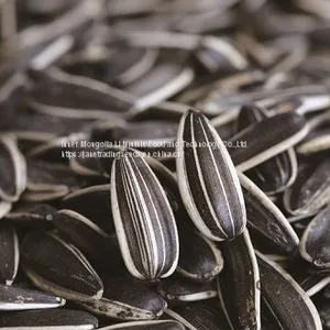 2017 Chinese Black Striped Sunflower Seeds thumbnail-1