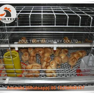 Laos Poultry Farming Baby Chick Cage & A Frame Automatic Small Chicken Cage & Pullet Coop Used in Chicken Shed thumbnail-1