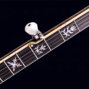 Banjo, 22 Fret,5 String,Openback, High Grade, Customizable FBJ-N45F thumbnail-3