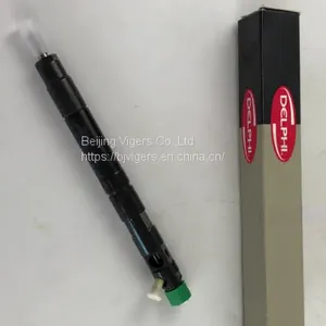Embr00101d Diesel Engine Injector Fuel Injector Common Rail Diesel Fuel Injector Delphi thumbnail-2