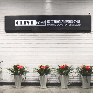Nanjing Olive Textiles Co., Ltd company overview - view 1 thumbnail