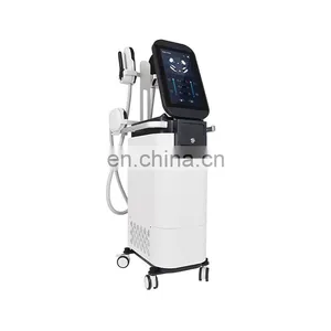 4 in 1 Body Sculpting Machine of Muscle Building Machine for Fat Removal thumbnail-2