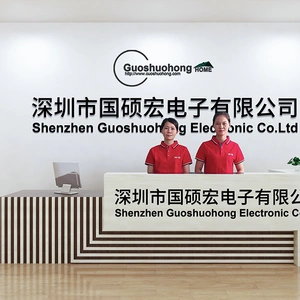 Shenzhen Guoshuohong Electronics Co., Ltd company overview - view 1 thumbnail