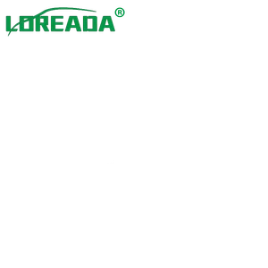 Changsha LOREADA Auto Parts Co,.LTD company overview - view 1 thumbnail