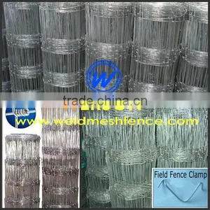 Forest Fencing thumbnail-1