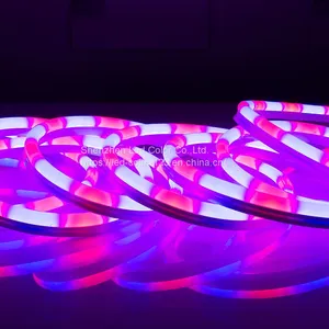 New Arrivals 5050RGB Led Pixel Neon Flex Colorful Flexible Silicone Neon Strip Outdoor Landscape Led Neon Light Flexible Led Strip thumbnail-4