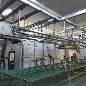 Halal Standard Cattle Slaughter Box SUS304 Stainless Steel Livestock Stunning Bleeding Box for Beef Abattoir Processing Line thumbnail-2