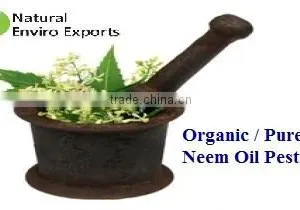 Best Price Organic Cold Pressed Neem Oil ; Cold Pressed Natural Neem Oil thumbnail-6