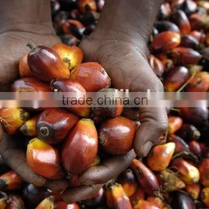 Palm Oil Mill Machinery, Plam Oil Plant Equipments thumbnail-2