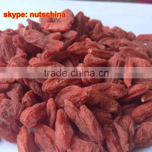 Ningxia Goji Berry thumbnail-1