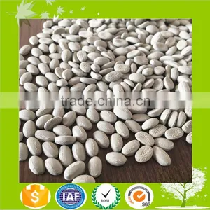 Plastic Desiccant Masterbatch/Cao Desiccant Masterbatch thumbnail-4