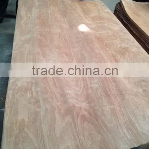 0.3mm Keruing Veneer for India Market thumbnail-2