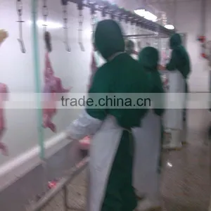 Rabbit Processing Slaughterhouse thumbnail-3