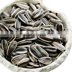 363 Sunflower Seeds From Inner Mongolia thumbnail-3