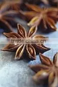 Star Anise thumbnail-1