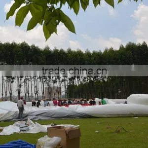 Customized Outdoor Inflatable Cheap Wedding Marquee Party Tent For Sale thumbnail-6