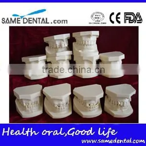 Malocclusion Classification Demonstration Model 2 thumbnail-6