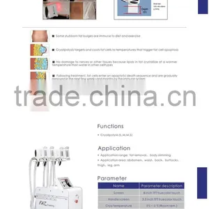 Cryotherapy Machine 4 Handles Weight Loss and Cellulite thumbnail-6