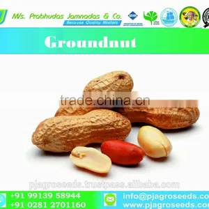 Groundnut for Seed/Bold Groundnut/Java Groundnut thumbnail-1