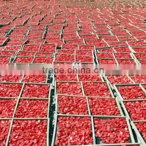China Sun Dried Tomatoes thumbnail-3
