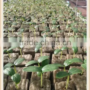 Fireproof & Waterproof Hydroponic Grow Systems Hydroponic Rockwool Rock Wool Cubes thumbnail-3