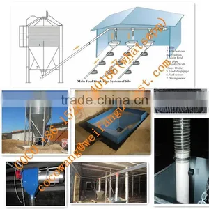 Broiler Poultry Farm Equipment Automatic Silo/Feeding/Drinking/Fan/Cooling Pad/Heater/Controller System for Farming Chickens thumbnail-1