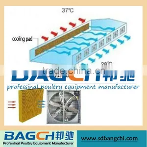 Stainless Steel Best Selling Ventilation/Exhaust Fan For Poultry House thumbnail-4