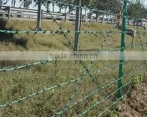 QIang Yu Factory Best Price Barbed Wire thumbnail-6