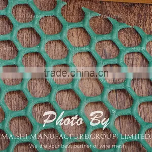 Extruded Plastic Mesh Plastic Flat Nets thumbnail-2