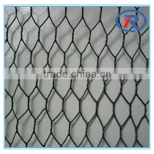 Chicken Wire Mesh Hot Dipped Galvanized Hexagonal Wire Mesh thumbnail-5