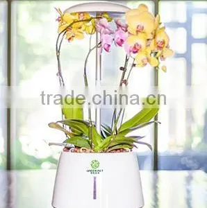 Intelligent Plant Growth Machine thumbnail-4