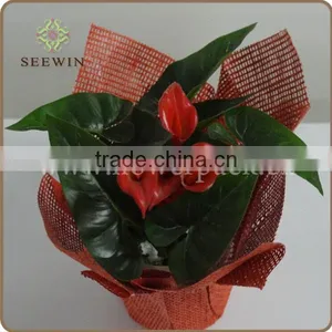 High Quality Green Garden Flower Pot/cute Pot Holder thumbnail-1